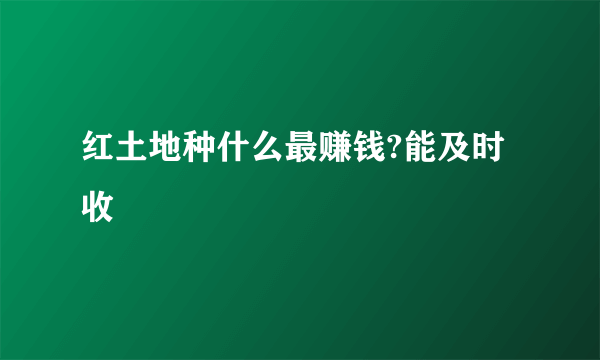 红土地种什么最赚钱?能及时收