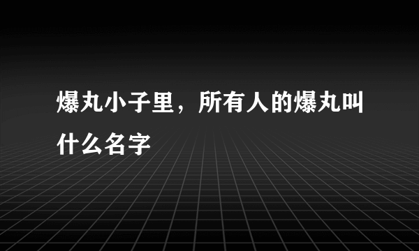 爆丸小子里，所有人的爆丸叫什么名字