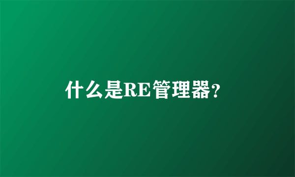 什么是RE管理器？