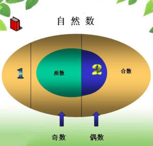 最小的质数和最小的合数是多少