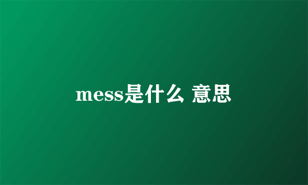 mess是什么 意思