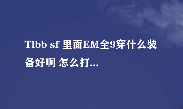 Tlbb sf 里面EM全9穿什么装备好啊 怎么打宝石啊 高手进啊