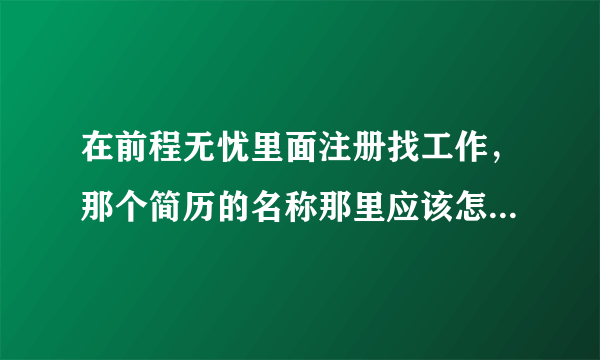 在前程无忧里面注册找工作，那个简历的名称那里应该怎么填写啊？