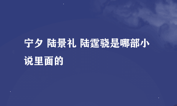 宁夕 陆景礼 陆霆骁是哪部小说里面的