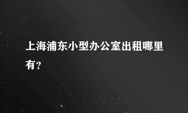 上海浦东小型办公室出租哪里有？