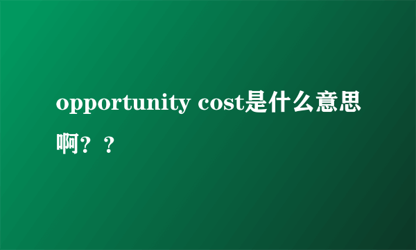 opportunity cost是什么意思啊？？