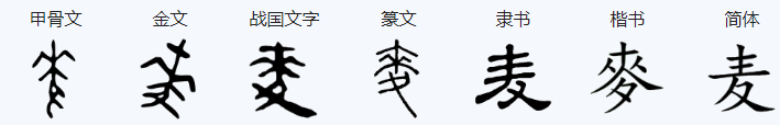 麦字笔顺怎么写