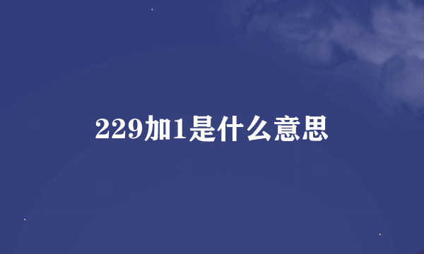 229加1是什么意思