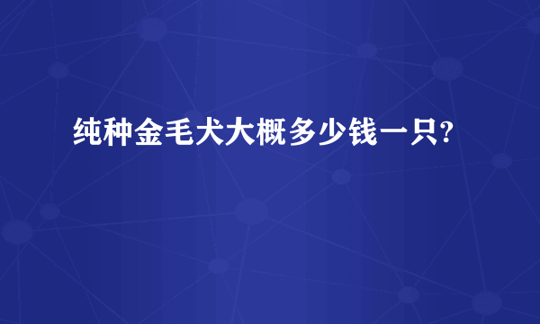 纯种金毛犬大概多少钱一只?