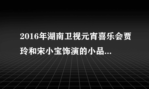 2016年湖南卫视元宵喜乐会贾玲和宋小宝饰演的小品中的歌曲名????