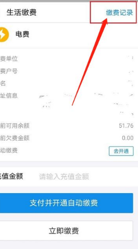 怎样查询电费缴费记录查询