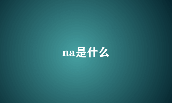 na是什么