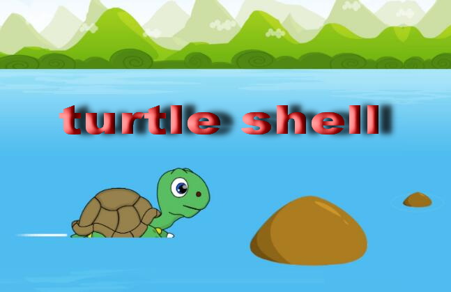 turtle 与 tortoise 有什么区别？