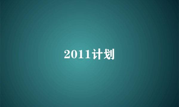 2011计划