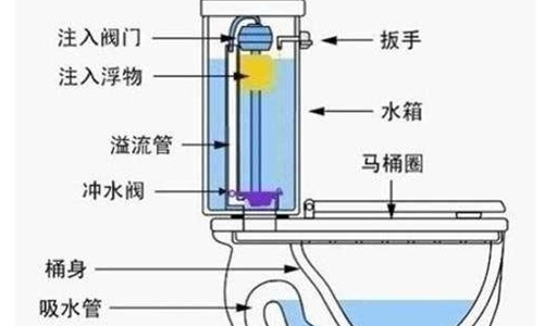 抽水马桶结构图是什么样的，在线求