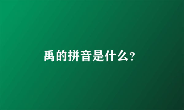 禹的拼音是什么？