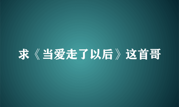 求《当爱走了以后》这首哥