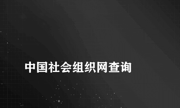 
中国社会组织网查询
