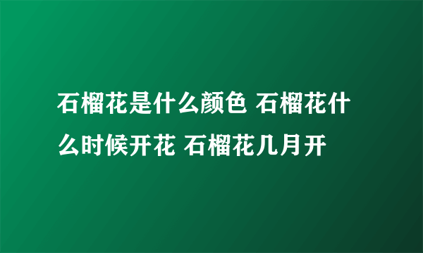 石榴花是什么颜色 石榴花什么时候开花 石榴花几月开