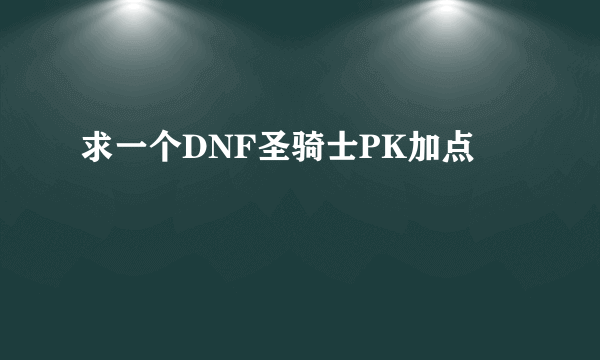 求一个DNF圣骑士PK加点