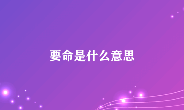 要命是什么意思