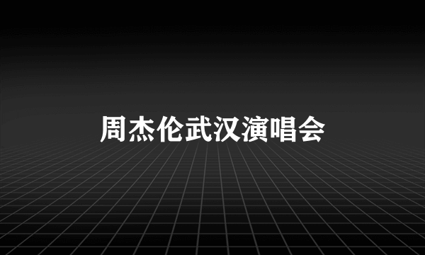 周杰伦武汉演唱会