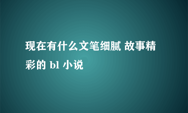 现在有什么文笔细腻 故事精彩的 bl 小说