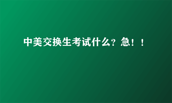 中美交换生考试什么？急！！