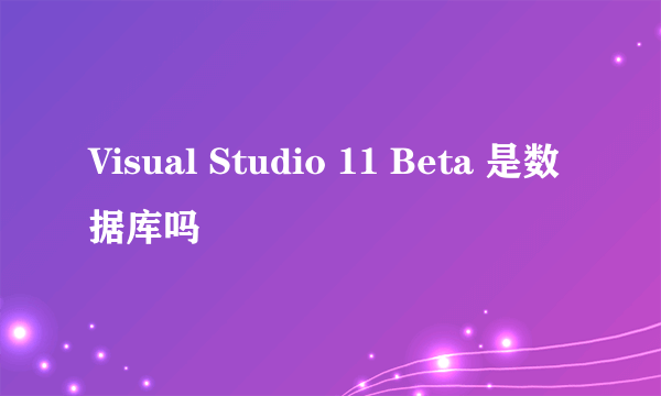 Visual Studio 11 Beta 是数据库吗