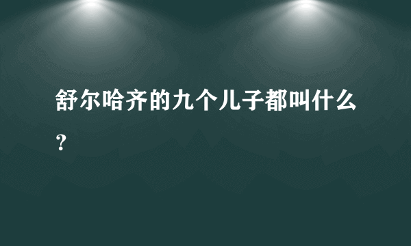 舒尔哈齐的九个儿子都叫什么？