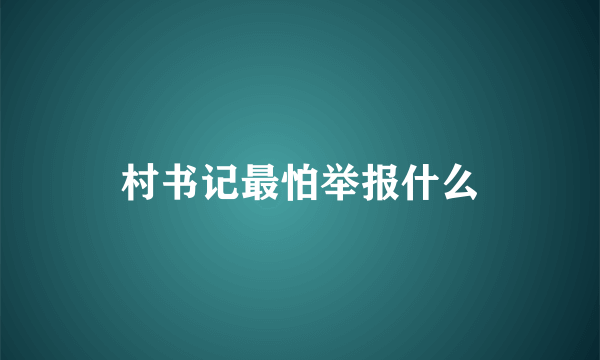 村书记最怕举报什么