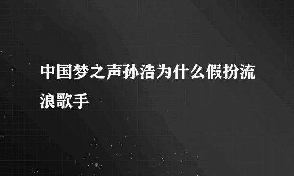 中国梦之声孙浩为什么假扮流浪歌手