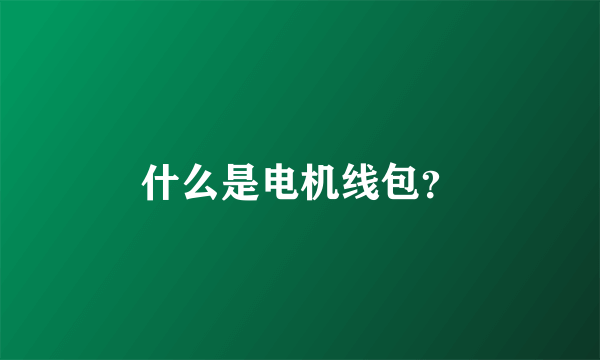 什么是电机线包？