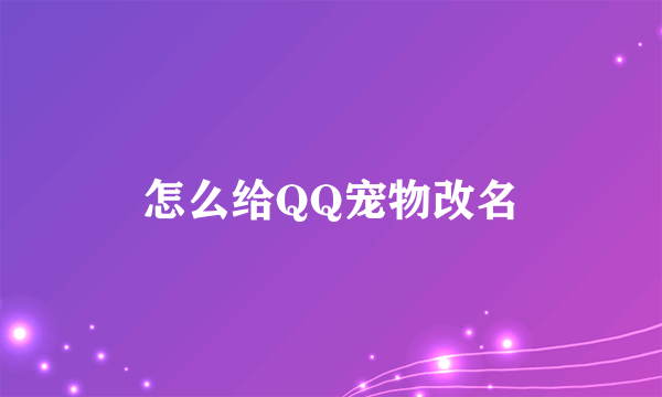 怎么给QQ宠物改名