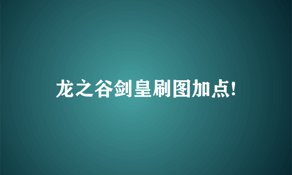 龙之谷剑皇刷图加点!