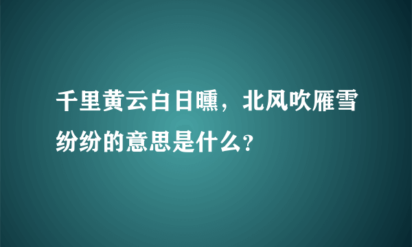 千里黄云白日曛，北风吹雁雪纷纷的意思是什么？