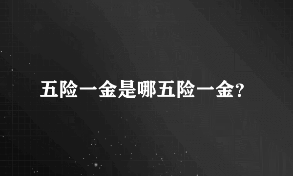 五险一金是哪五险一金？