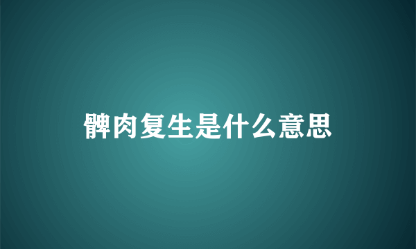 髀肉复生是什么意思