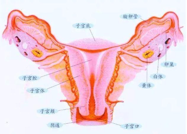 人流之后对身体有什么影响?