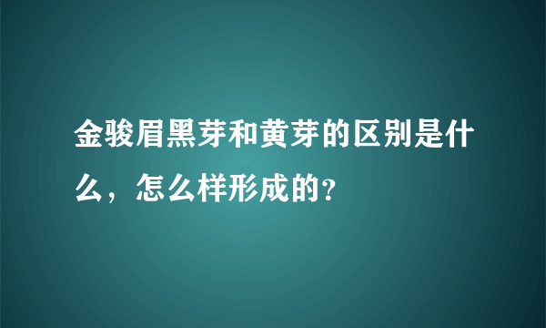 金骏眉黑芽和黄芽的区别是什么，怎么样形成的？