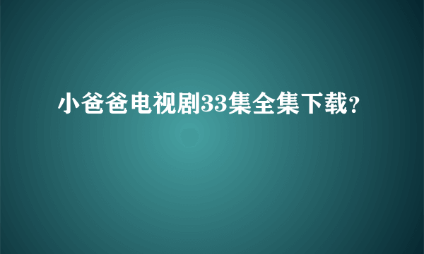 小爸爸电视剧33集全集下载？