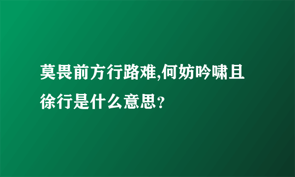 莫畏前方行路难,何妨吟啸且徐行是什么意思？