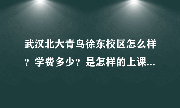 武汉北大青鸟徐东校区怎么样？学费多少？是怎样的上课模式啊 ？