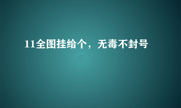 11全图挂给个，无毒不封号