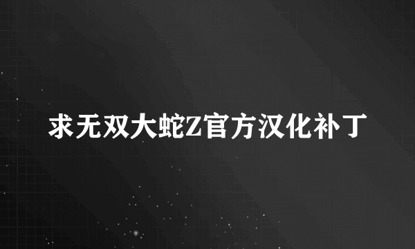 求无双大蛇Z官方汉化补丁