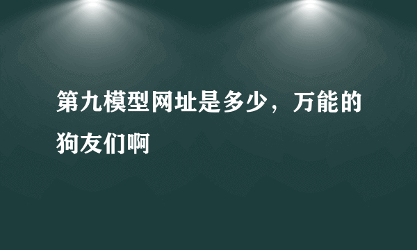 第九模型网址是多少，万能的狗友们啊