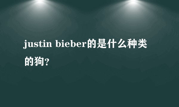 justin bieber的是什么种类的狗？