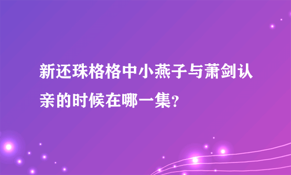 新还珠格格中小燕子与萧剑认亲的时候在哪一集？