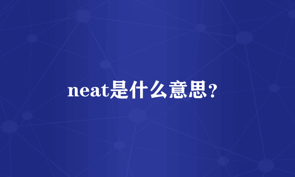 neat是什么意思？