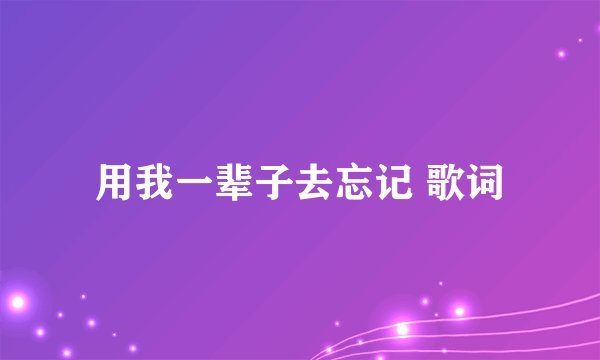 用我一辈子去忘记 歌词